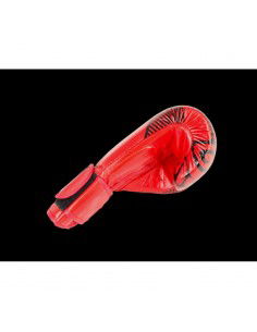 Boxing gloves Masters RbtRed 018060212 2