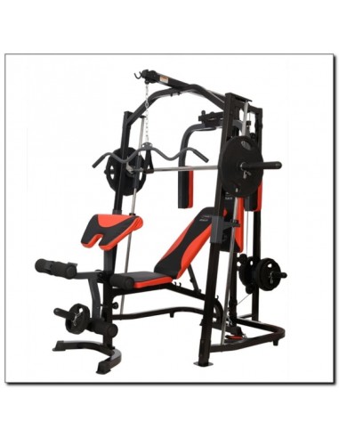 HMS Atlas X1 17-51-001 Πολυόργανο Γυμναστικής χωρίς Βάρη