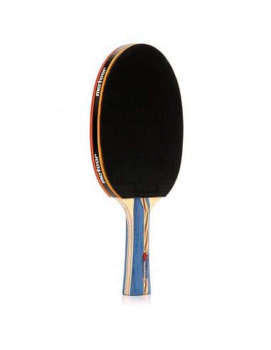 Table tennis racket Meteor Dust Devil 15020