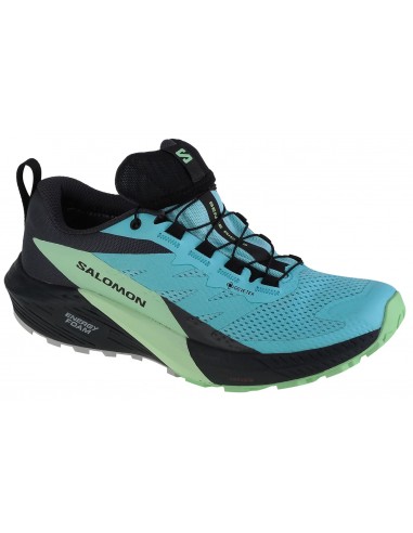 Salomon Sense Ride 5 GTX L47216000 Γυναικεία Αθλητικά Παπούτσια Trail Running Μπλε Αδιάβροχα με Μεμβράνη Gore-Tex