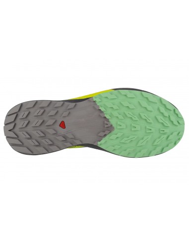 Salomon Sense Ride 5 L47144200 Ανδρικά Αθλητικά Παπούτσια Trail Running Γκρι