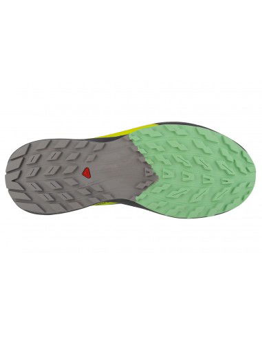 Salomon Sense Ride 5 L47144200 Ανδρικά Αθλητικά Παπούτσια Trail Running Γκρι