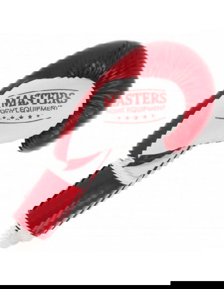 Boxing gloves Masters RpuPZKB 01100102 10 oz