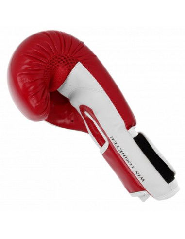 Boxing gloves Masters RpuPZKB 01100102 10 oz