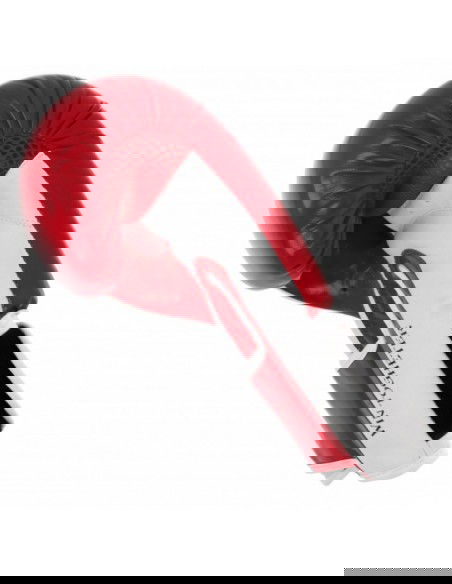 Boxing gloves Masters RpuPZKB 01100102 10 oz