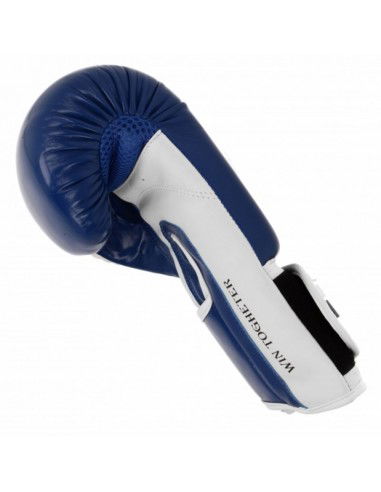 Boxing gloves Masters RpuPZKB 01100102 10 oz