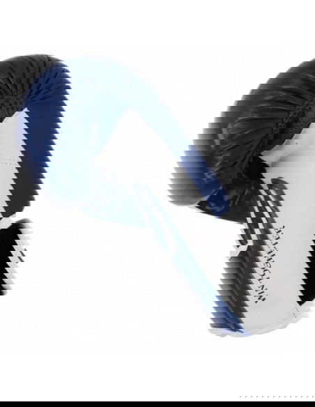 Boxing gloves Masters RpuPZKB 01100102 10 oz