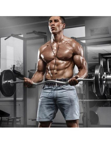 Belt for strength training HMS black PA3778 rL