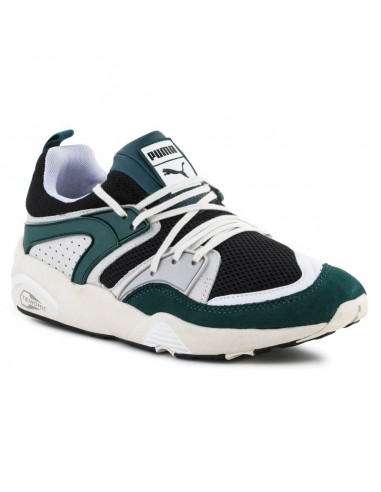 Puma Ανδρικά Sneakers Πολύχρωμα 387575-02