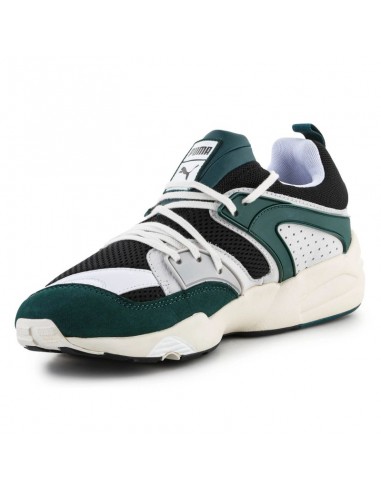Puma Ανδρικά Sneakers Πολύχρωμα 387575-02