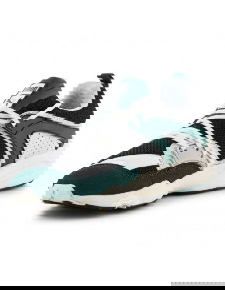 Puma Ανδρικά Sneakers Πολύχρωμα 387575-02