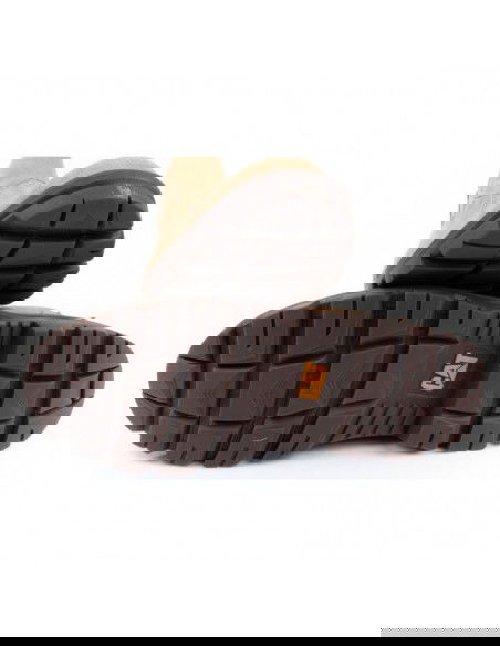 Caterpillar Practitioner M P725200 shoes
