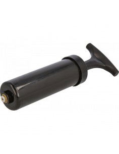 Gym ball 65 cm pump 2