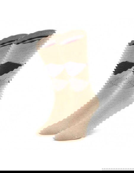 Tommy Hilfiger socks 2 pack M 100001495 050