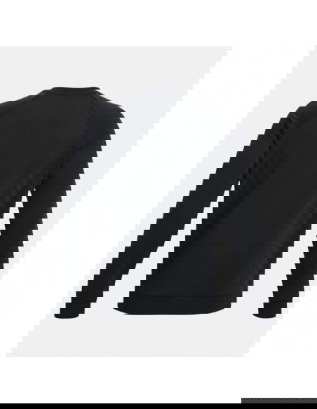 Under Armour Fleece Crew M 1379755001 sweatshirt