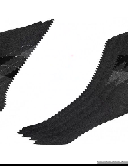 Tommy Hilfiger socks 2 pack M 100001495 201