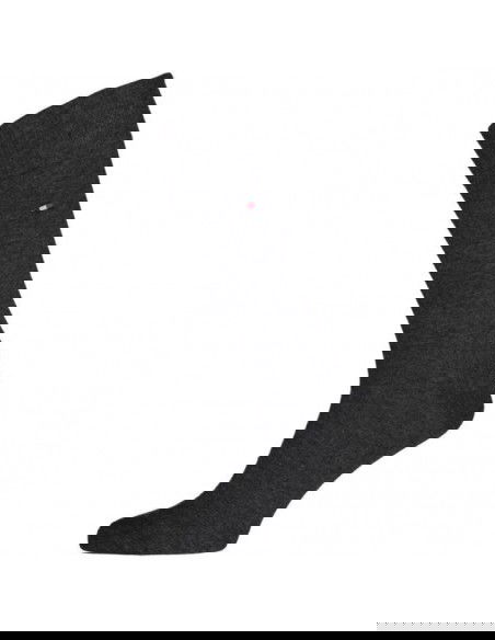 Tommy Hilfiger socks 2 pack M 100001495 201