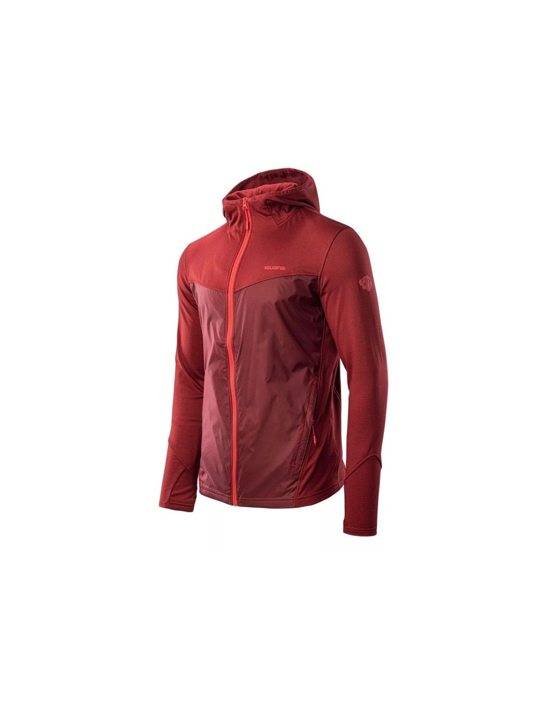 Iguana Scone M sweatshirt 92800439353