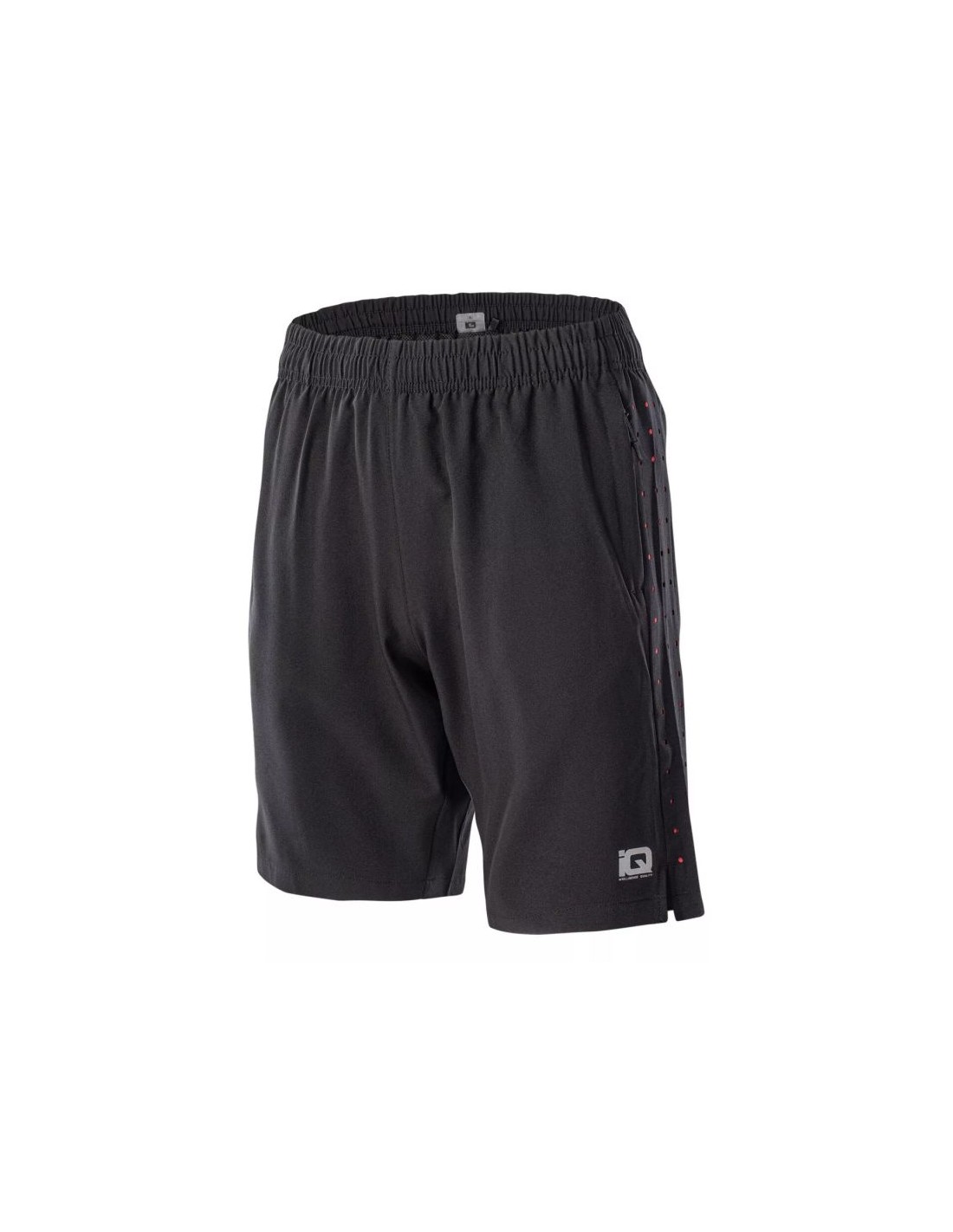 IQ Cross The Line Porio M shorts 92800499166
