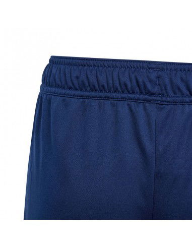 Adidas Tiro 24 Jr shorts IR9369