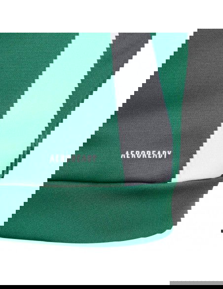 Adidas Tiro 24 Training Jr IR7503 sweatshirt