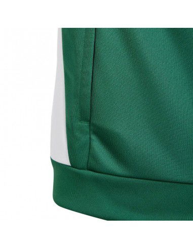 Adidas Tiro 24 Training Jr IR7503 sweatshirt