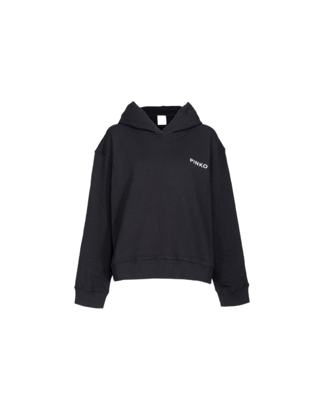 PINKO Pinko Lady W 101767A13L sweatshirt