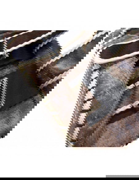 Masters TpaoVintage 14666V leather training discs