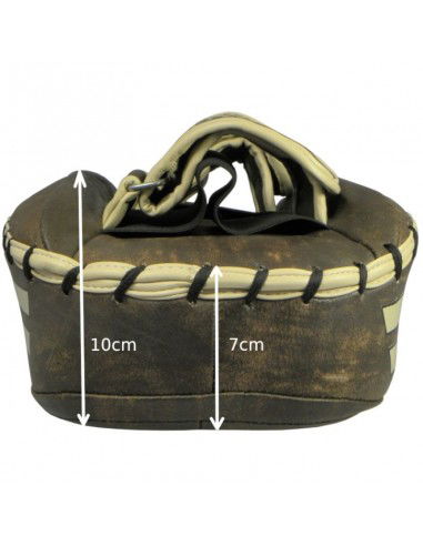 Masters TpaoVintage 14666V leather training discs