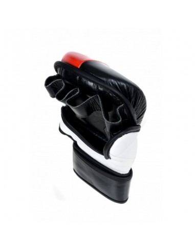 Masters MMA gloves GFS10 011002M