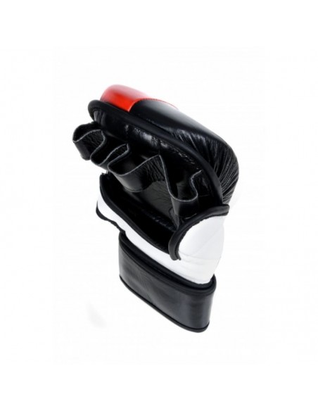 Masters MMA gloves GFS10 011002M