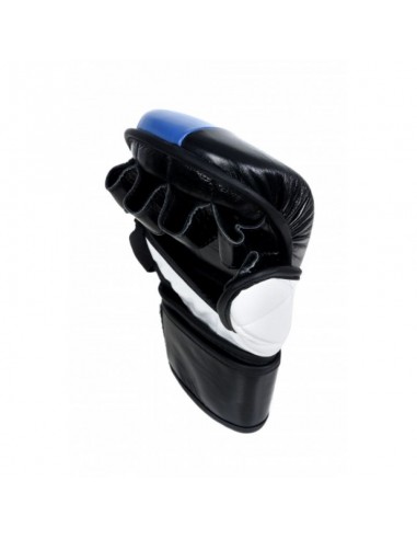 Masters MMA gloves GFS10 011002M