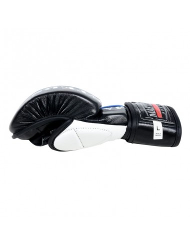 Masters MMA gloves GFS10 011002M