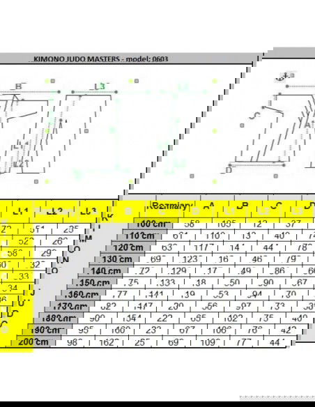 Masters judo kimono 100 cm 06030100