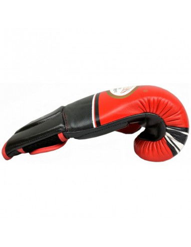 Masters Boxing Gloves RbtLf 013074818 18 oz