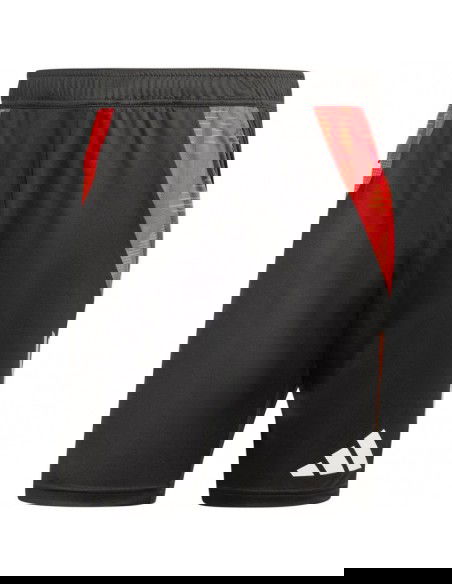 Adidas Tiro 24 Competition Training M shorts IR5484