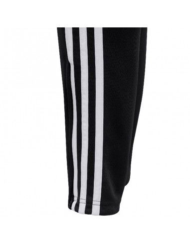 Adidas Tiro 24 Training Jr pants IJ7661