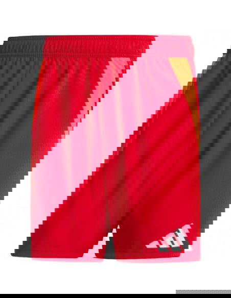 Adidas Tiro 24 Competition Training M shorts IK2245