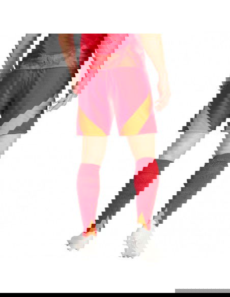 Adidas Tiro 24 Competition Training M shorts IK2245