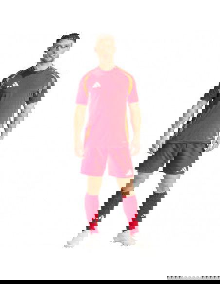 Adidas Tiro 24 Competition Training M shorts IK2245