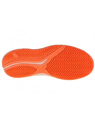 ASICS GelChallenger 14 Clay 1042A254101