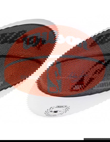 Wilson Autograph Mini Ball WTB3405XB
