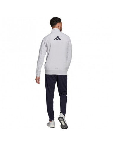 Men's tracksuit adidas Logo Graphic Track Suit greyblack H61134
