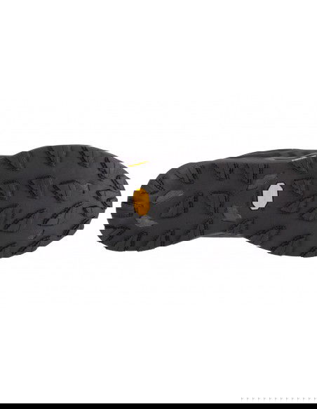 Mizuno Wave Daichi 8 GTX J1GJ245601