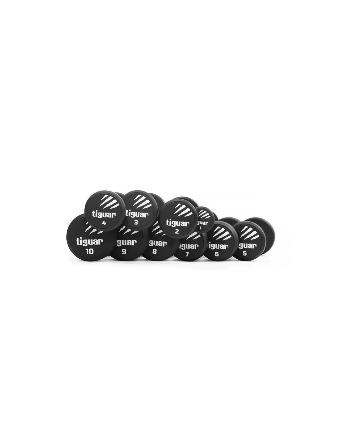 Tiguar PU dumbbell set pair 110 kg