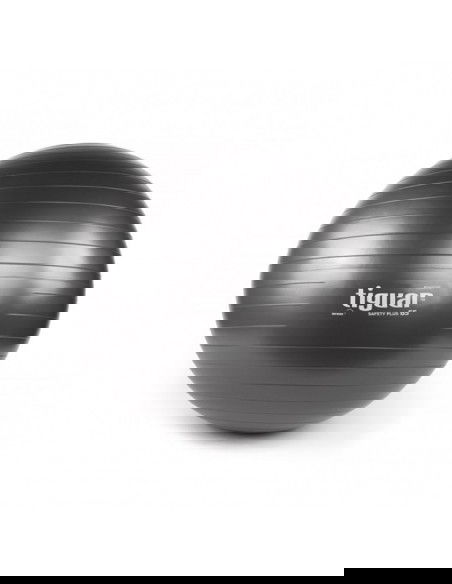 Gym ball tiguar body ball safety plus TISP0065G