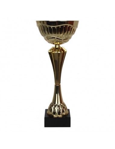 Triumph Cup