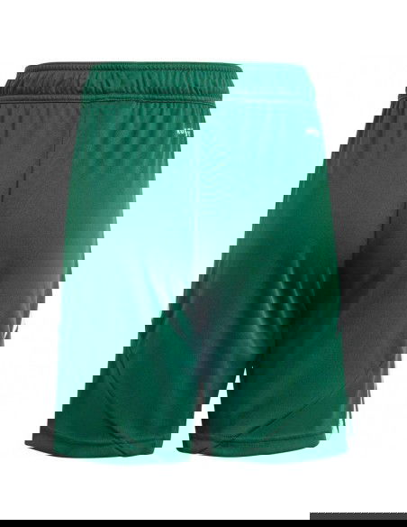 Adidas Tiro 24 Jr IT2409 shorts