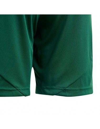 Adidas Tiro 24 Jr IT2409 shorts
