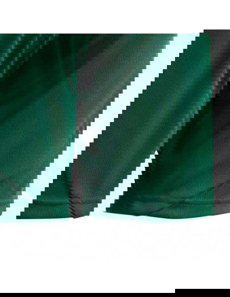 Adidas Tiro 24 Jr IT2409 shorts